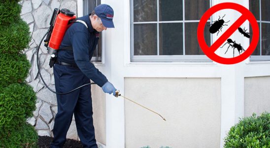 Tirebolu Haşere İlaçlama böcek ilaçlama ve haşere kontrolü — ilaclama-tr.com